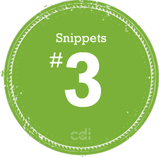Snippet No. 3