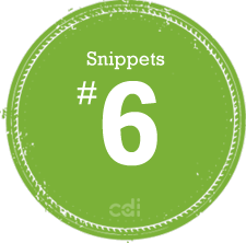Snippet No. 6