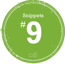 Snippet No. 9